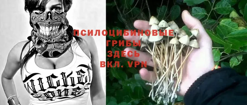 блэк спрут ссылка  Волоколамск  Псилоцибиновые грибы MAGIC MUSHROOMS 